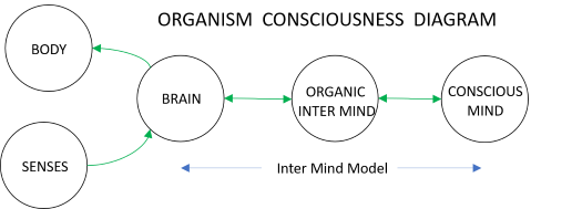 Organic Model Of Consciousness